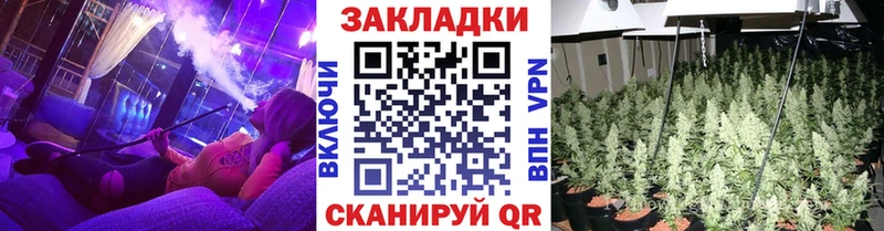 Псилоцибиновые грибы Киров