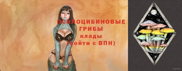 гашик Абаза