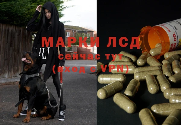 винт Абинск