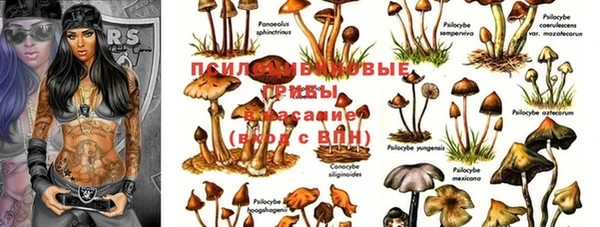 метадон Алзамай