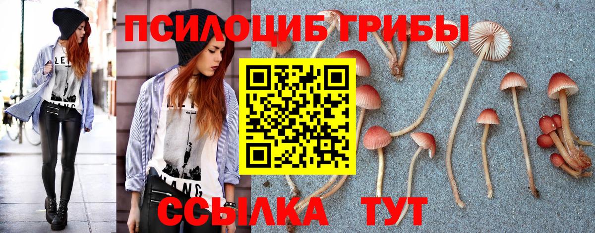 Псилоцибиновые грибы прущие грибы Киров